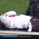 Image for article titled Why Your Team Sucks 2016: Tampa Bay Buccaneers